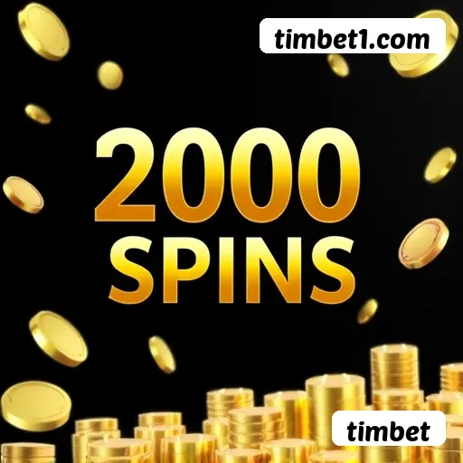 Qualificar VIP timbet